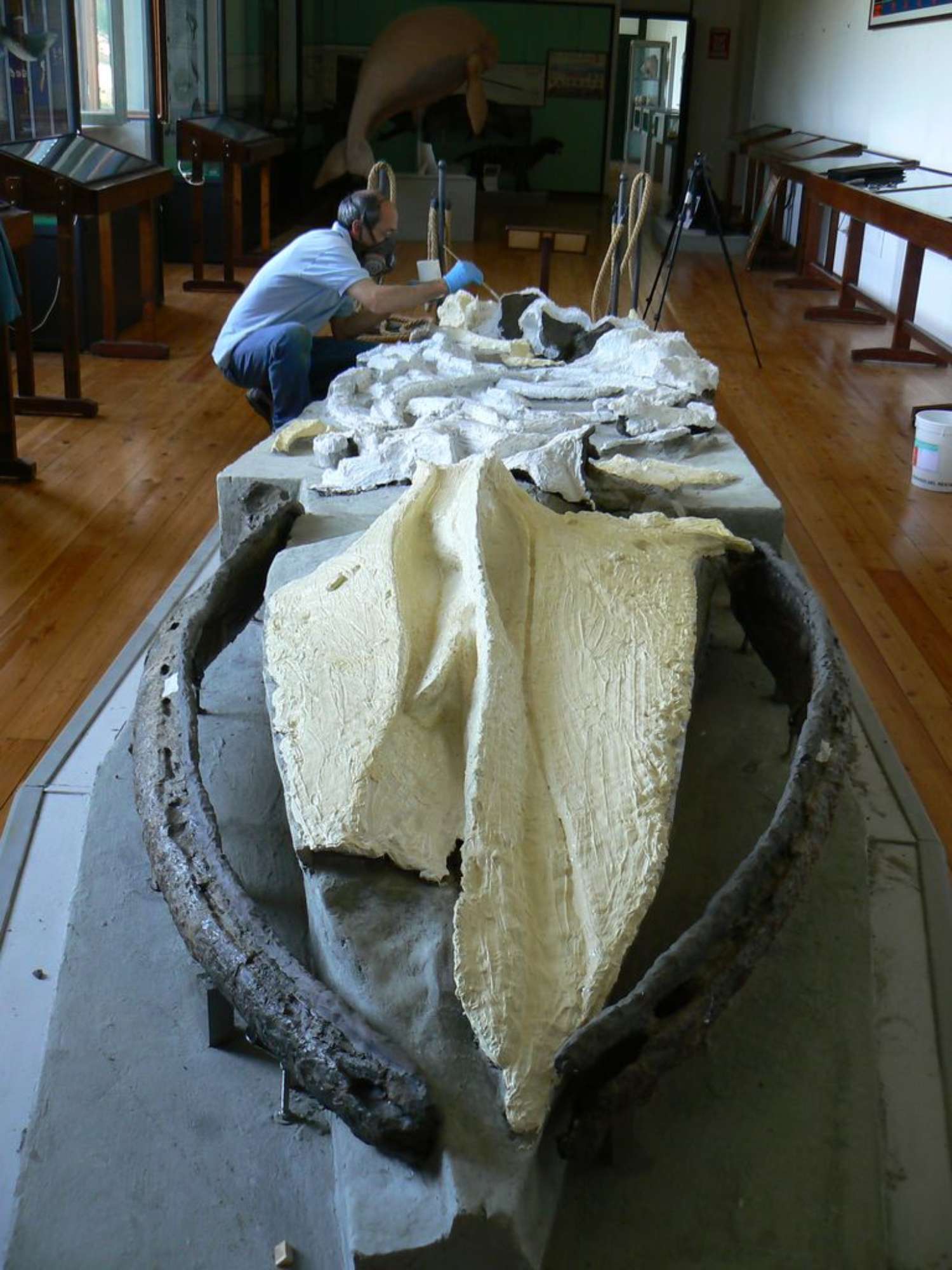 Festa scuola Ale 028